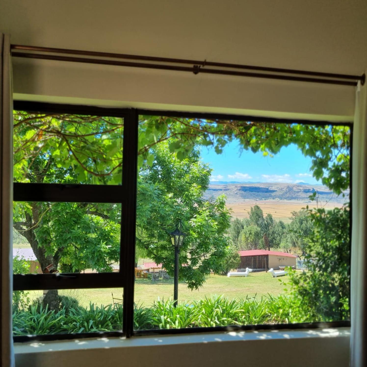 The Fat Mulberry Guest Farm Hotel Fouriesburg Ngoại thất bức ảnh